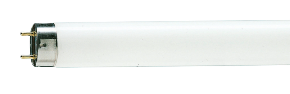 Lamp Fluor  T8 32w Br 220v 8000h