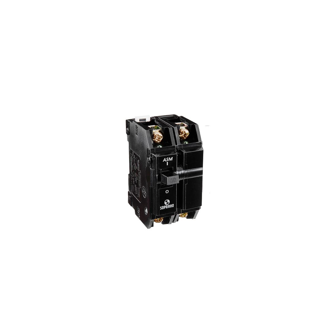 Disjuntor Nema Bipolar 100a
