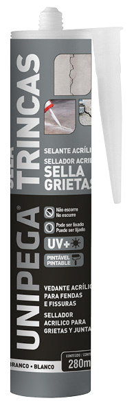Adesivo Fendas E Trincas Br 495gr