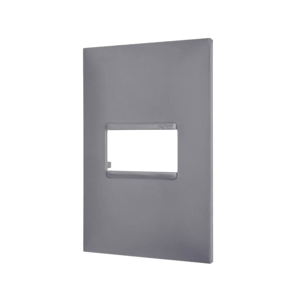 Pial Plus+ Placa 4x2 1mod Cz