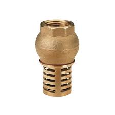 Valv Retencao P/Poco 3/4” Succao
