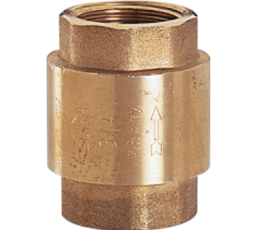 Valv Retencao Vertical 2.1/2”