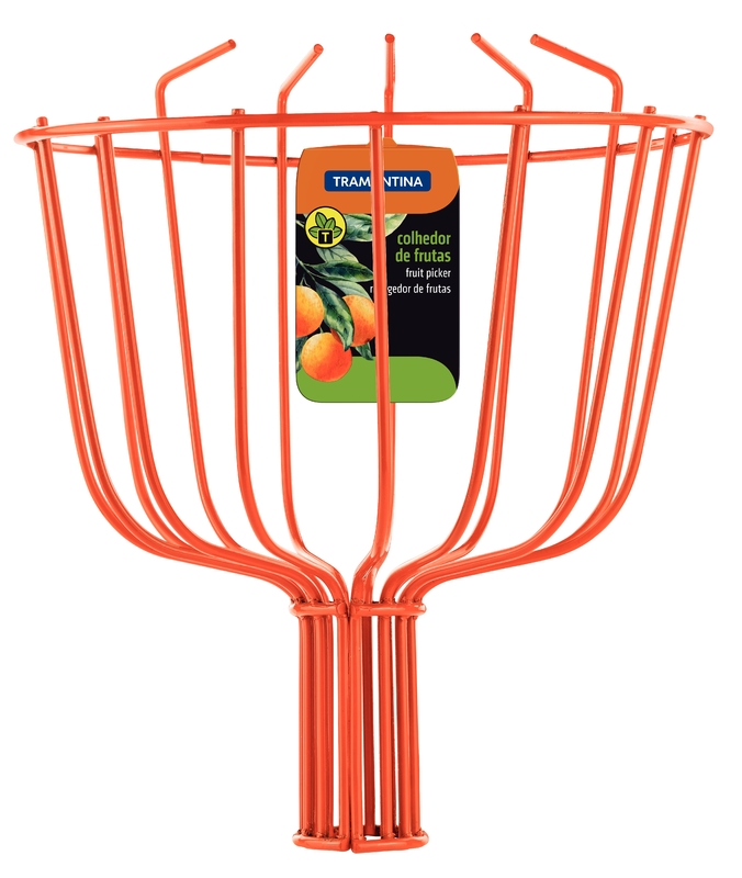 Colhedor De Frutas Grande S/Cabo