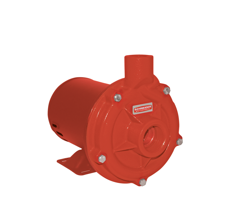 Bomba Cent Trif 3cv 2.1/2x2.1/2”Bpi92sr