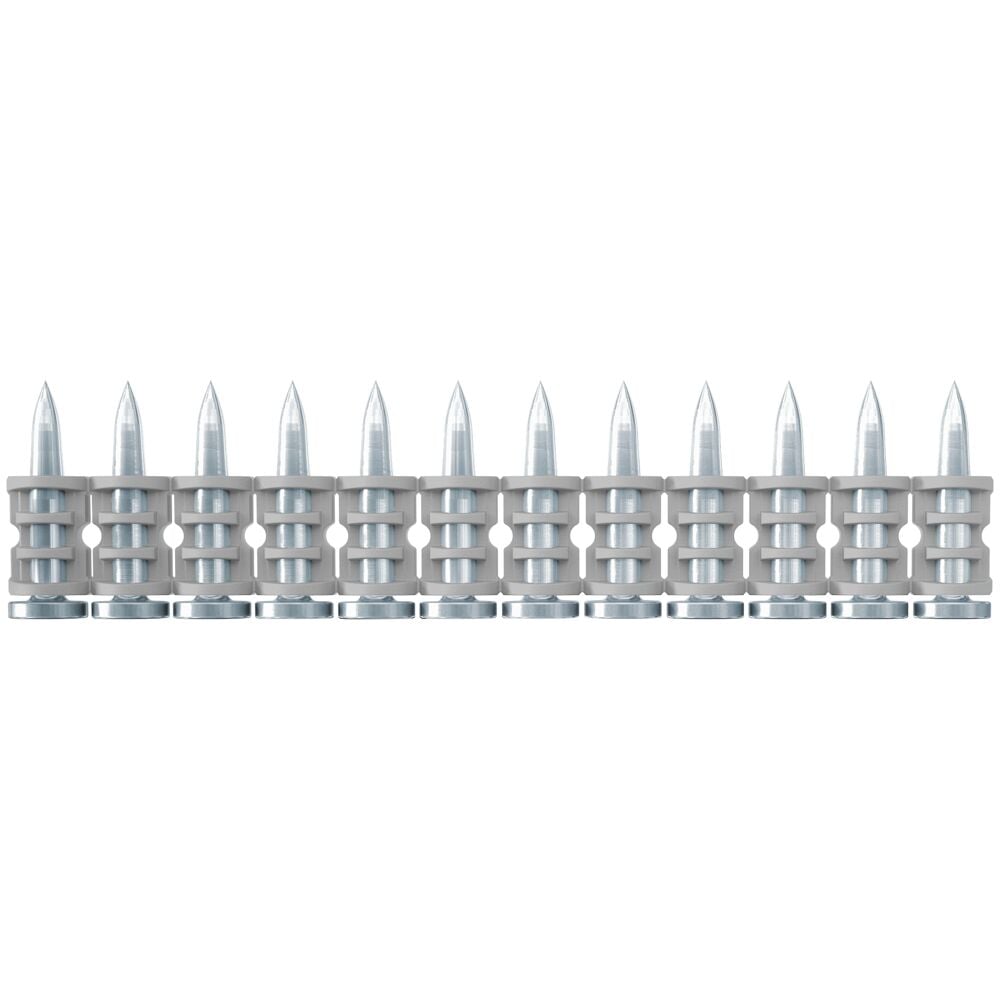 Pino Fischer 20 Np C/1008un