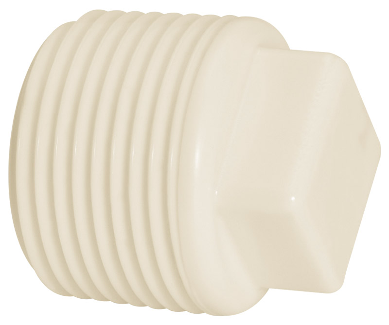 Plug Roscavel 1”   
